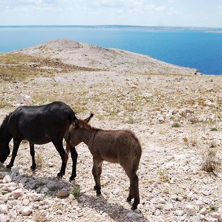 Апартаменти Galapagus Privat Beach & Boat Dock Метайна Екстер'єр фото